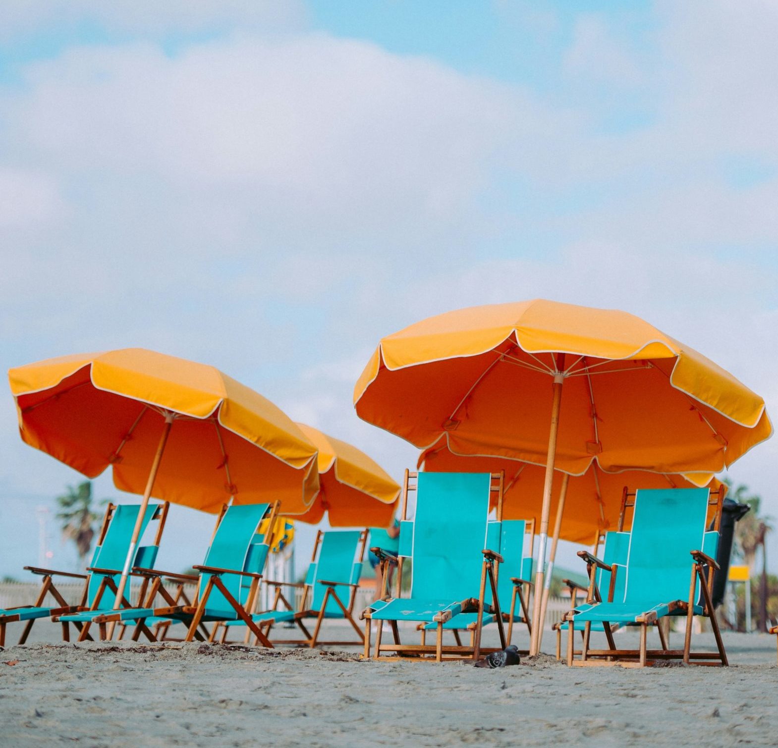 Credit: Annie Spratt via Unsplash